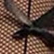 //img.ltwebstatic.com/images3_pi/2023/02/20/16768708167346dfc22882d2eb4a8017fde76ab31c.jpg